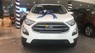 Ford EcoSport 2019 - Bán Ford EcoSport Titanium sản xuất năm 2019, màu trắng