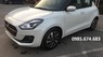 Suzuki Swift GLX 2019 - Bán Suzuki Swift GLX 2019 NK Thái Lan đủ màu giao xe ngay, giảm giá cực sốc