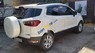 Ford EcoSport 2014 - Bán Ford EcoSport năm sản xuất 2014, màu trắng, xe nhập  