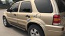 Ford Escape 2004 - Bán Ford Escape sản xuất 2004, màu vàng, giá 118tr