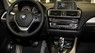 BMW 1 Series 2019 - Cần bán xe BMW 1 Series 118i 2019, xe nhập