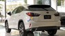 Lexus NX 300 2019 - Xe Lexus NX 300 năm sản xuất 2019, màu trắng, nhập khẩu chính chủ