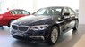 BMW 5 Series 530i 2019 - Bán BMW 5 Series 530i năm 2019, nhập khẩu