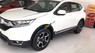 Honda CR V 2019 - Bán xe Honda CR V 1.5E sản xuất năm 2019, màu trắng, nhập khẩu nguyên chiếc