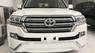 Toyota Land Cruiser VXR 2019 - Bán lỗ thu vốn Toyota Landcruiser VXR 4.6V8 mới 100%