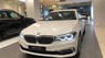 BMW 5 Series 530i 2019 - BMW 5 Series 530i chìa khóa màn hình đẳng cấp, màu trắng, xe nhập Đức nguyên chiếc, mới 100%