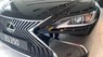 Lexus ES   2019 - Cần bán xe cũ Lexus ES250 đời 2019, nhập khẩu  