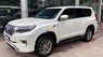 Toyota Prado 2018 - Bán Toyota Prado năm sản xuất 2018, màu trắng