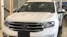 Ford Everest 2020 - Bán xe Ford Everest Titanium 2020 nhập khẩu, ưu đãi khủng, tặng phụ kiện chính hãng