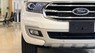 Ford Everest 2020 - Bán xe Ford Everest Titanium 2020 nhập khẩu, ưu đãi khủng, tặng phụ kiện chính hãng