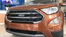 Ford EcoSport Titanium 2019 - Ford Ecosport Titanium đủ màu, hỗ trợ trả góp, giao xe ngay, tặng phụ kiện theo xe, bảo dưỡng chính hãng