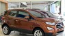 Ford EcoSport Titanium 2019 - Ford Ecosport Titanium đủ màu, hỗ trợ trả góp, giao xe ngay, tặng phụ kiện theo xe, bảo dưỡng chính hãng