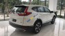 Honda CR V   2019 - Bán ô tô Honda CR V sản xuất 2019, màu trắng, nhập khẩu nguyên chiếc, giá tốt