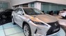 Lexus RX   300  2020 - Cần bán Lexus RX 300 năm sản xuất 2020, màu bạc, nhập khẩu nguyên chiếc