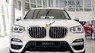 BMW X3 2020 - Bán BMW X3 năm 2020, nhập khẩu 