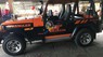 Jeep Wrangler 1997 - Bán Jeep Wrangler sản xuất năm 1997 chính chủ