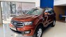 Ford Everest 2020 - Ford Everest Ambiente, nhập Thái Lan, mới