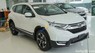 Honda CR V   2019 - Cần bán xe Honda CR V sản xuất 2019, màu trắng, xe nhập
