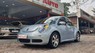 Volkswagen New Beetle 2010 - Bán ô tô Volkswagen New Beetle sản xuất năm 2010, màu xanh lam, nhập khẩu nguyên chiếc