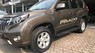 Toyota Prado 2014 - Bán xe Toyota Prado năm sản xuất 2014, màu nâu, xe nhập