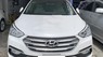 Hyundai Santa Fe 2017 - Cần bán gấp Hyundai Santa Fe 2017, màu trắng