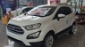 Ford EcoSport 2020 - Ford Ecosport Trend giảm vài chục triệu - L/h Hoàng 