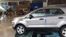 Ford EcoSport 2020 - Ford Ecosport Ambiente MT khuyến mãi lớn giảm giá cùng phụ kiện - Hoàng Ford Đà Nẵng
