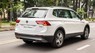 Volkswagen Tiguan 2020 - Tiguan SUV lựa chọn tốt nhất thời điểm hiện tại dưới 2 tỷ
