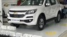 Chevrolet Trail Blazer LTZ 2.5L VGT 4x4 AT 2019 - Cần bán Chevrolet Trail Blazer LTZ 2.5L VGT 4x4 AT 2019, màu trắng, nhập khẩu