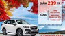Subaru Forester 2020 - Bán Subaru Forester sản xuất 2020, màu trắng, xe nhập