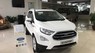 Ford EcoSport 1.5P AT Titanium 2020 -  Bán xe Ford EcoSport 1.5P Titanium 2020, màu trắng