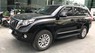 Toyota Prado TXL 2017 - Bán Toyota Prado TXL năm 2017, màu đen, xe nhập