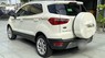 Ford EcoSport 2019 - Bán Ford EcoSport 2019