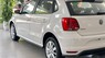 Volkswagen Polo   2020 - Bán Volkswagen Polo năm 2020, màu trắng, nhập khẩu nguyên chiếc