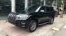 Toyota Prado VXL 3.0 2021 - Giao ngay Toyota Prado VXL 3.0L diesel 2021, màu đen, full options
