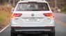 Volkswagen Tiguan Elegance 2021 - Tiguan trắng 2021 nhập khẩu nguyên chiếc, giao xe ngay và đủ màu, kèm quà tặng khủng từ hãng