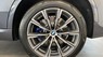 BMW X5 2020 - BMW X5 xDrive40i M Sport 2020 new 100%, nhập khẩu Châu Âu, 5 chỗ, BMW Đắk Lắk