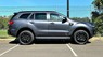 Ford Everest 2021 - Bán ô tô Ford Everest New Sporst 2021