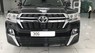 Toyota Land Cruiser MBS 2020 - Bán xe Toyota Land Cruiser 4.6V8 MBS 2021, tên cá nhân siêu mới