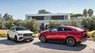 Mercedes-Benz GLE-Class 2021 - Mercedes-AMG GLE 53 Coupe
