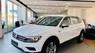 Volkswagen Tiguan 2021 - Cần bán xe Volkswagen Tiguan sản xuất 2021, màu trắng, xe nhập