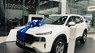 Hyundai Santa Fe 2.2 DẦU TC 2021 - Santafe 2021 giá sụt giảm sốc, ưu đãi lên đến 50Tr và thuế trước bạ