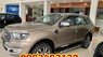 Ford Everest Titanium 2.0L 4x4 AT 2021 - Bán Ford Everest Titanium 2.0L 4x4 AT 2021, màu vàng, nhập khẩu tại Lào Cai