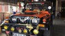 Jeep Wrangler   1996 - Bán ô tô Jeep Wrangler 1996, nhập khẩu còn mới, giá chỉ 310 triệu