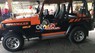 Jeep Wrangler   1996 - Bán ô tô Jeep Wrangler 1996, nhập khẩu còn mới, giá chỉ 310 triệu