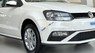 Volkswagen Polo 2021 - Bán ô tô Volkswagen Polo 2021, màu trắng, nhập khẩu nguyên chiếc