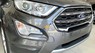 Ford Ecosport 2021 - Mẫu xe mới nhất cùng hàng ngàn ưu đãi hấp dẫn