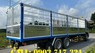 Xe tải Trên 10 tấn ChengLong M5 2021 - Bán xe tải ChengLong 3 chân thùng dài 10m giá tốt hỗ trợ hồ sơ vay