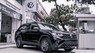 Volkswagen Tiguan 2022 - bán xe Volkswagen Teramont 2022 Màu đen Black Edition Có xe giao ngay tháng 5, giá tốt