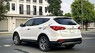 Hyundai Santa Fe 2013 - Nhập khẩu nguyên chiếc giá tốt